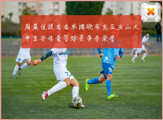周最佳提名名单揭晓布克亚历山大申京字母哥等球员争夺荣誉
