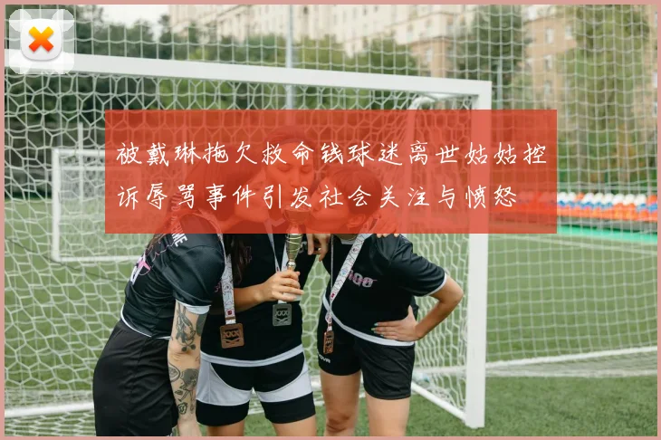 被戴琳拖欠救命钱球迷离世姑姑控诉辱骂事件引发社会关注与愤怒