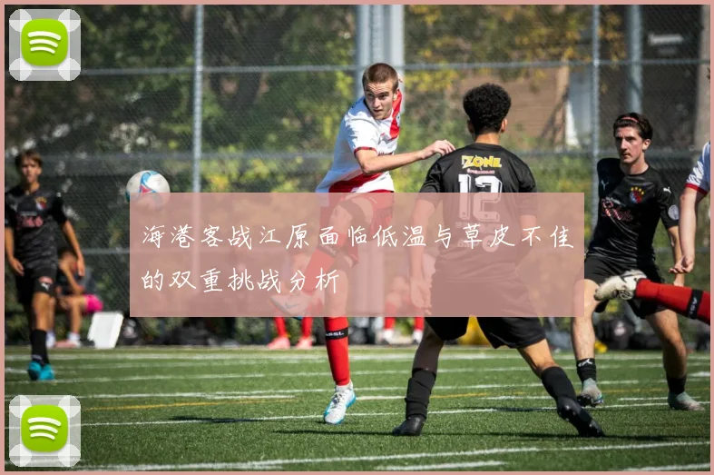海港客战江原面临低温与草皮不佳的双重挑战分析