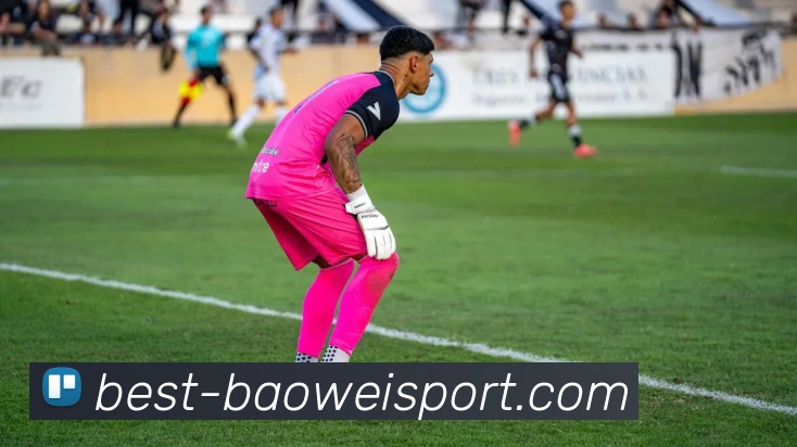 App Interface Preview