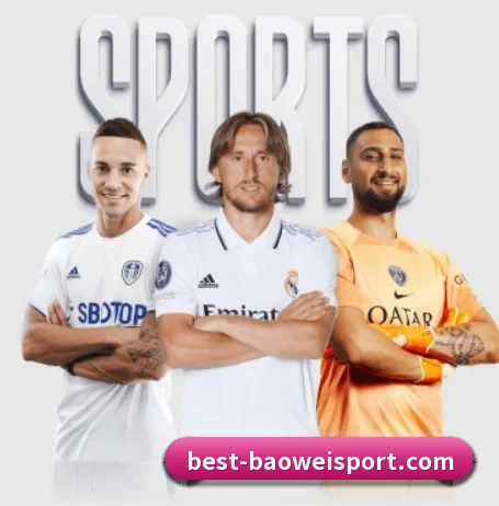 五个功能入口,赛程查询路径更短 - BOWWAYSPORTS